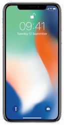 Замена аккумулятора (батареи) Apple iPhone X (10)